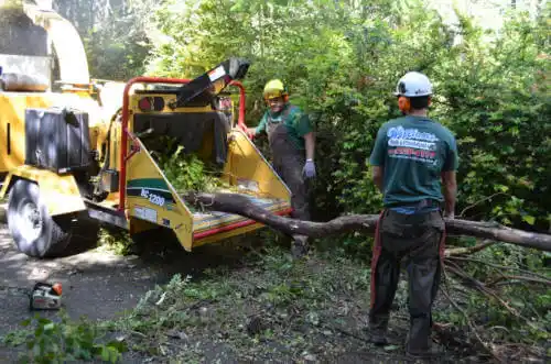 tree services Lompoc